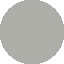 Iridium Gray Metallic