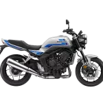 Honda CB1000F Wolf Silver Metallic Blue Stripe