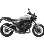 Honda CB1000F Wolf Silver Metallic Gray Stripe